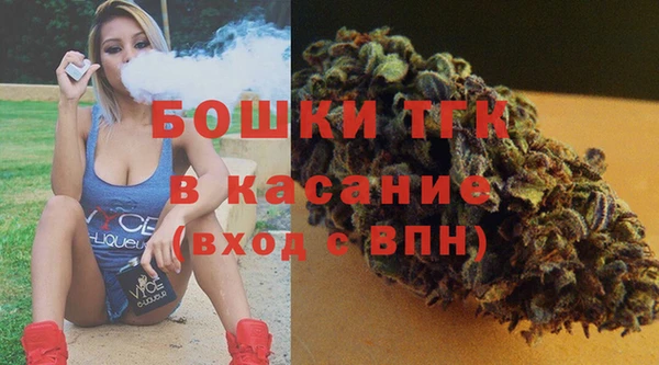 гашик Майский