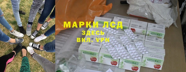 гашик Майский
