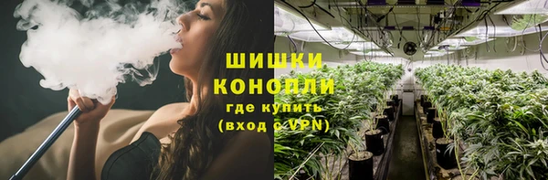 твердый Магас