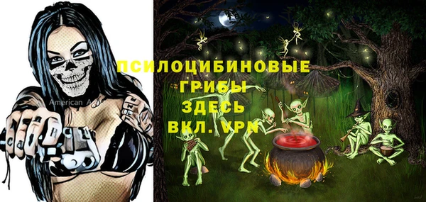 твердый Магас