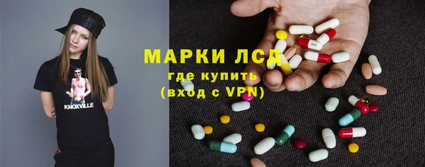 гашик Майский